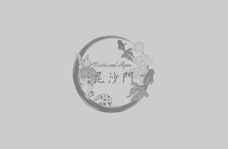 アクア＆エキゾチック毘沙門│爬虫類・小動物専門店