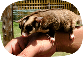 代表自ら現地で厳選仕入れ