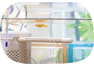 代表自ら現地で厳選仕入れ